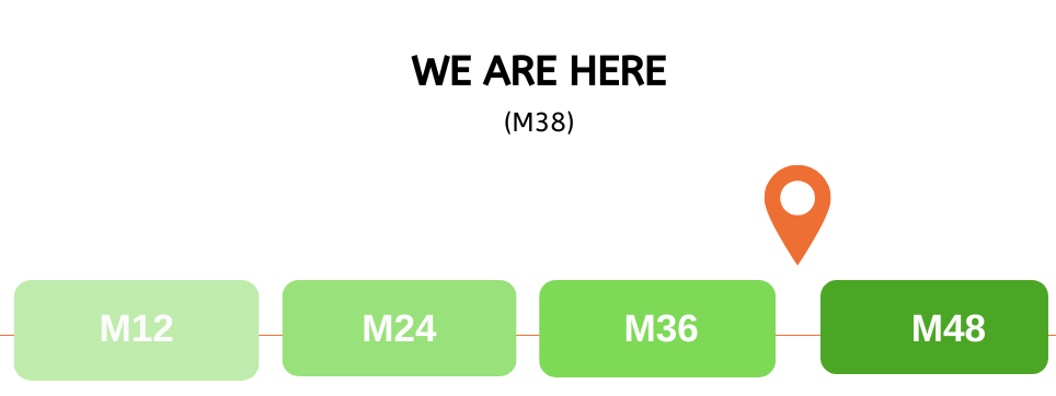 M 31 (2)